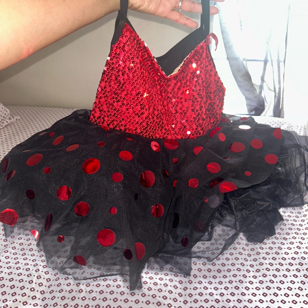 Dance ballet  tutu dress ladybug costume size 3t
